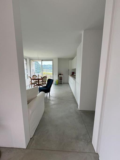 Neue Gartenwohnung Mit Sicht Auf Den Luganersee Ponte Tresa Exterior photo